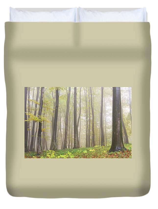 Environmental Conservation Duvet Cover featuring the photograph Beech Forest #3 by Vidok