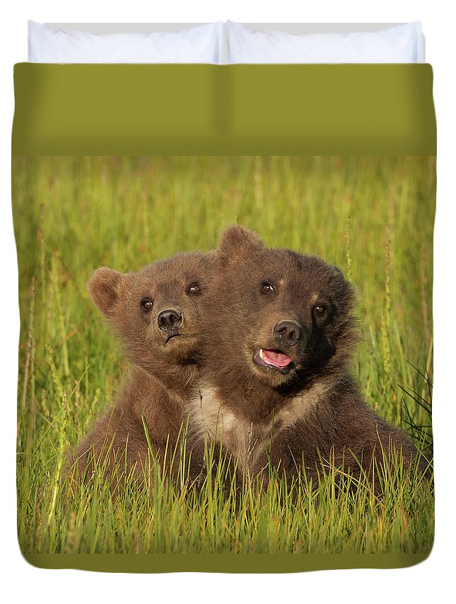 Brown Bear Duvet Cover featuring the photograph Brown Bear Cubs, Lake Clark National #3 by Mint Images/ Art Wolfe