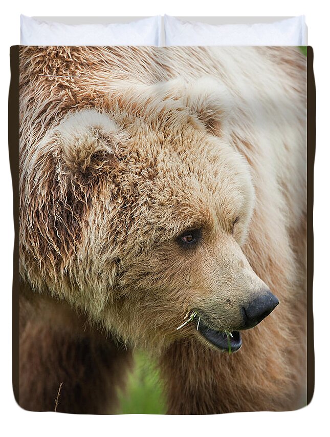 Brown Bear Duvet Cover featuring the photograph Brown Bears, Katmai National Park #3 by Mint Images/ Art Wolfe
