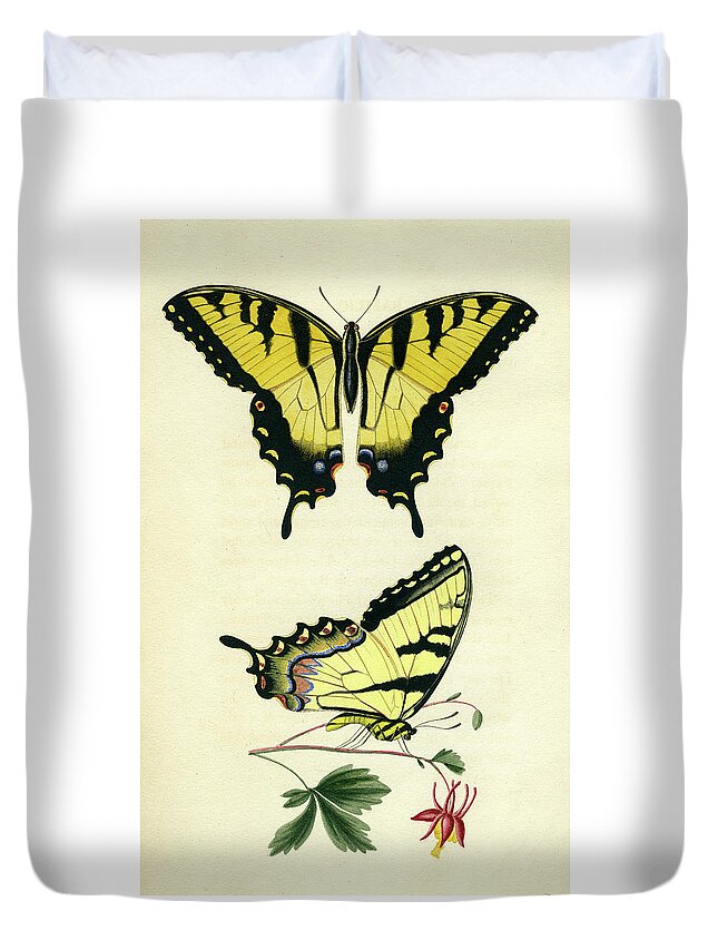 Entomology Duvet Cover featuring the photograph Butterflies by Unknown