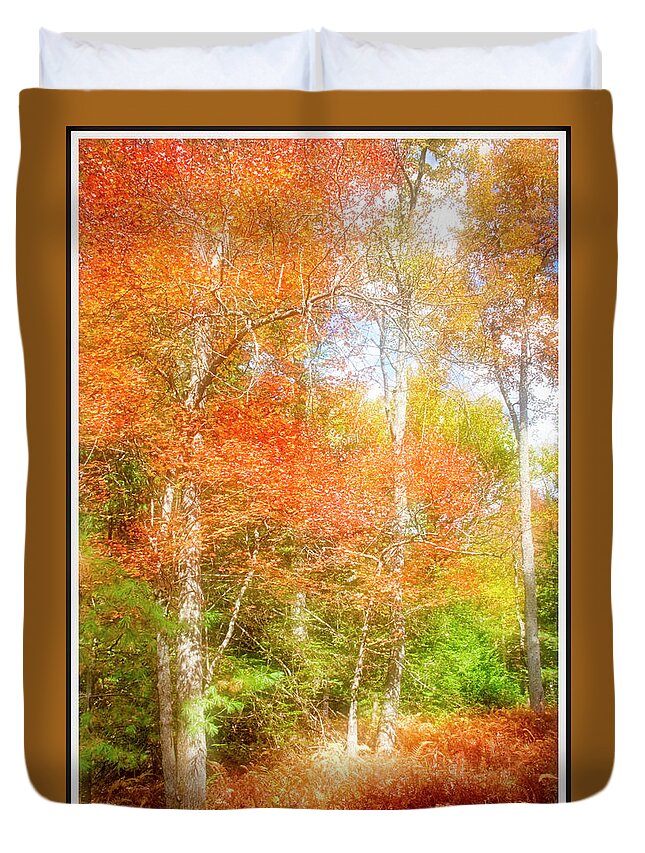 Environment Duvet Cover featuring the photograph Forest Interior, Autumn, Pocono Mountains, Pennsylvania #3 by A Macarthur Gurmankin