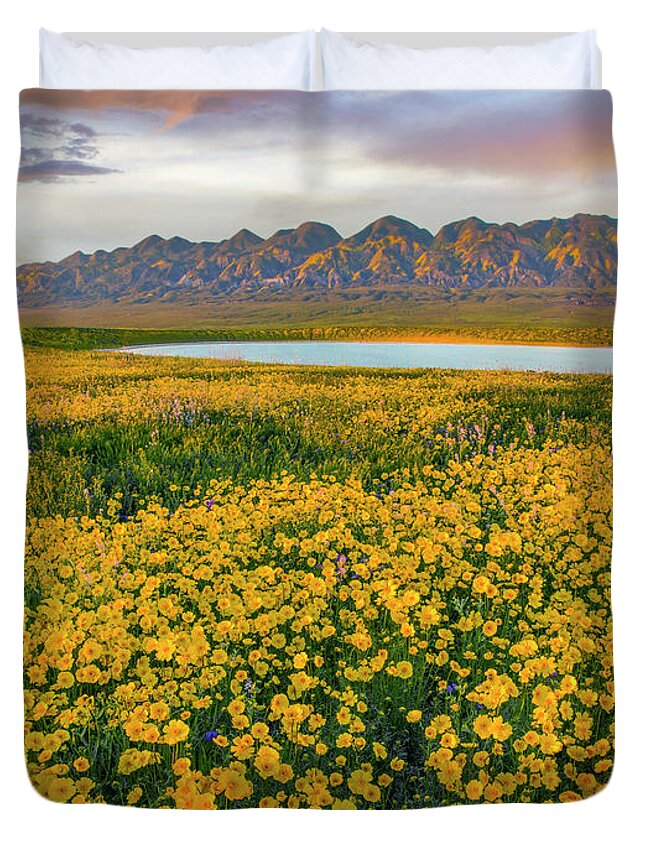 00568648 Duvet Cover featuring the photograph Hillside Daisy Superbloom, Temblor Range, Carrizo Plain Nm, California #3 by Tim Fitzharris
