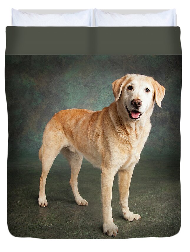 Photography Duvet Cover featuring the photograph Portrait Of A Labrador Mixed Dog #3 by Panoramic Images