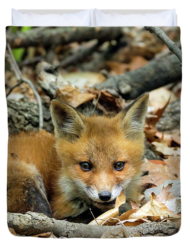 Fox Cub Duvet Cover featuring the photograph Beautiful fox cub #4 by Sam Rino