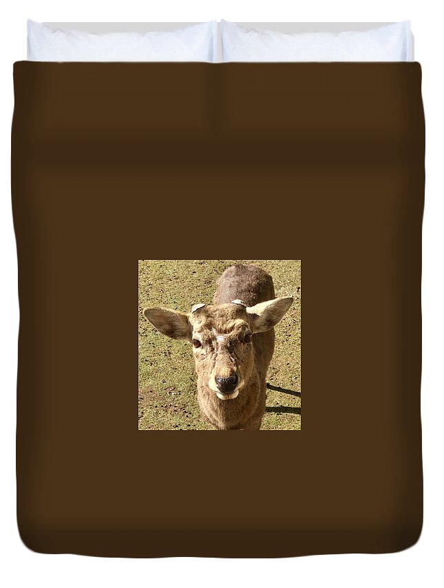 Deer Duvet Cover featuring the photograph Strong deer #2 by Batabatabat Batayan