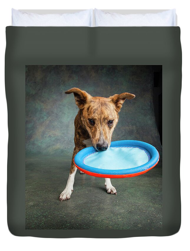 Photography Duvet Cover featuring the photograph Portrait Of A Greyhound Collie Mix Dog #4 by Panoramic Images
