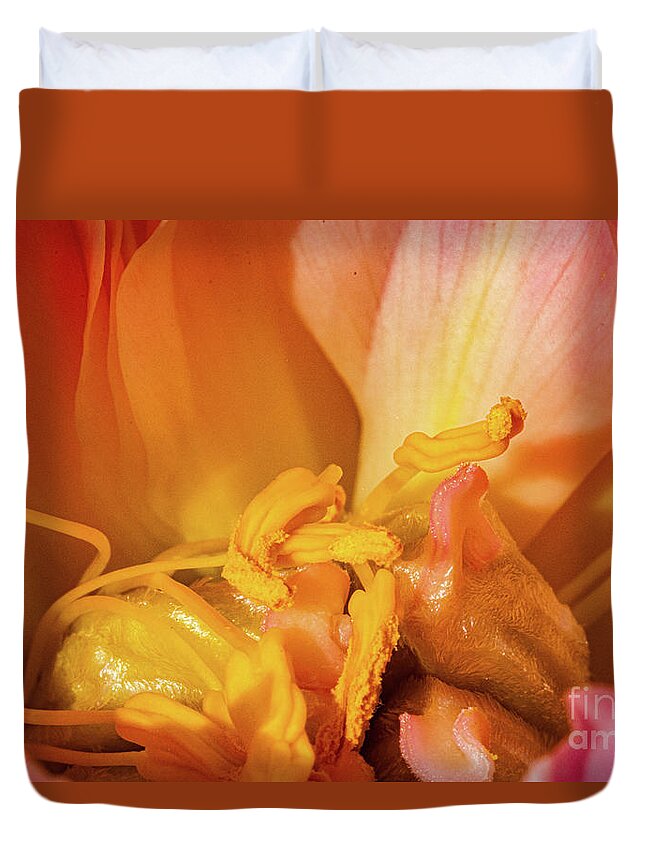 Sublime Peony Duvet Cover featuring the painting Sublime Peony, Dijon, France, April by European School