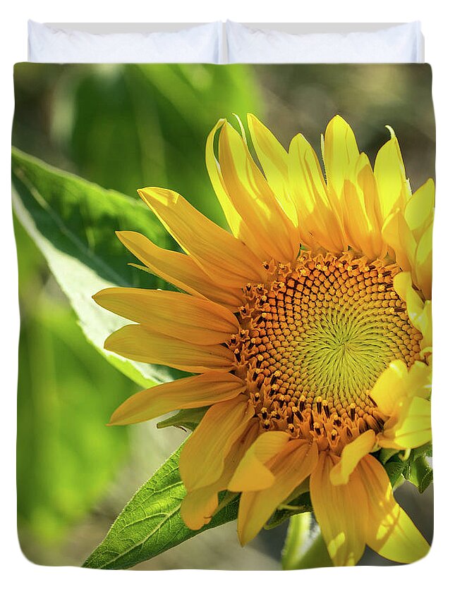 Sunflower Duvet Cover featuring the photograph Sunflower #4 by Cathy Donohoue
