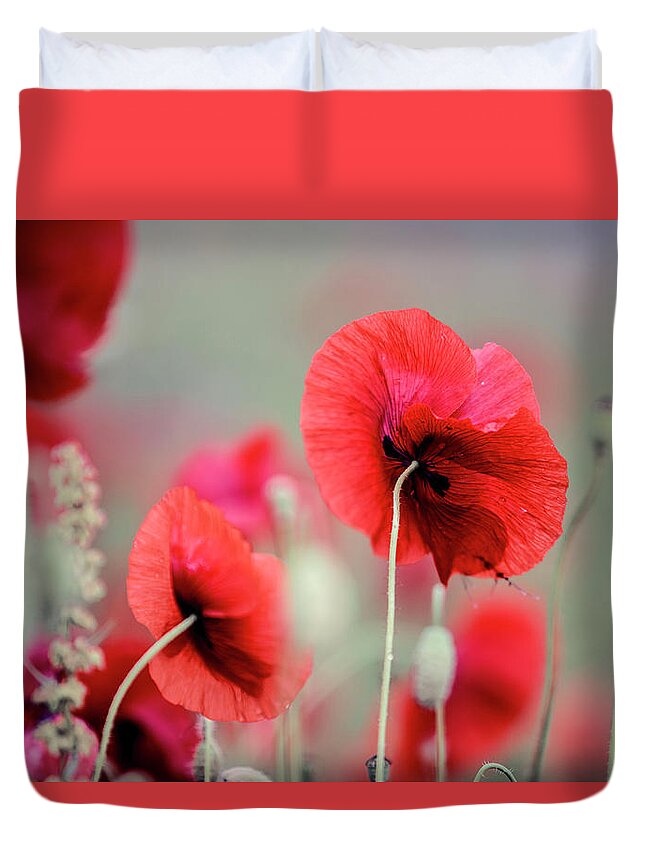 Poppy Duvet Cover featuring the photograph Red Corn Poppy Flowers by Nailia Schwarz