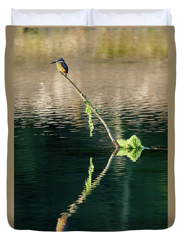 Field Duvet Cover featuring the photograph Common Kingfisher Alcedo Atthis O Seixo #7 by Pablo Avanzini