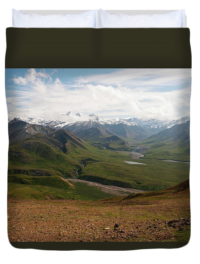 Snow Duvet Cover featuring the photograph Denali Np Landscape #7 by John Elk