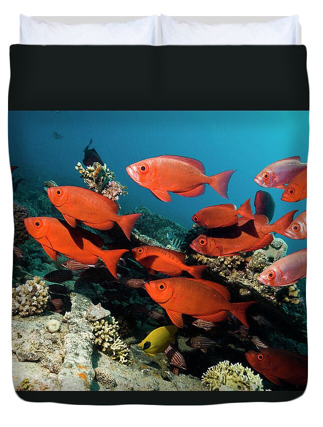 Tranquility Duvet Cover featuring the photograph Coral Reef With Fish #8 by Georgette Douwma