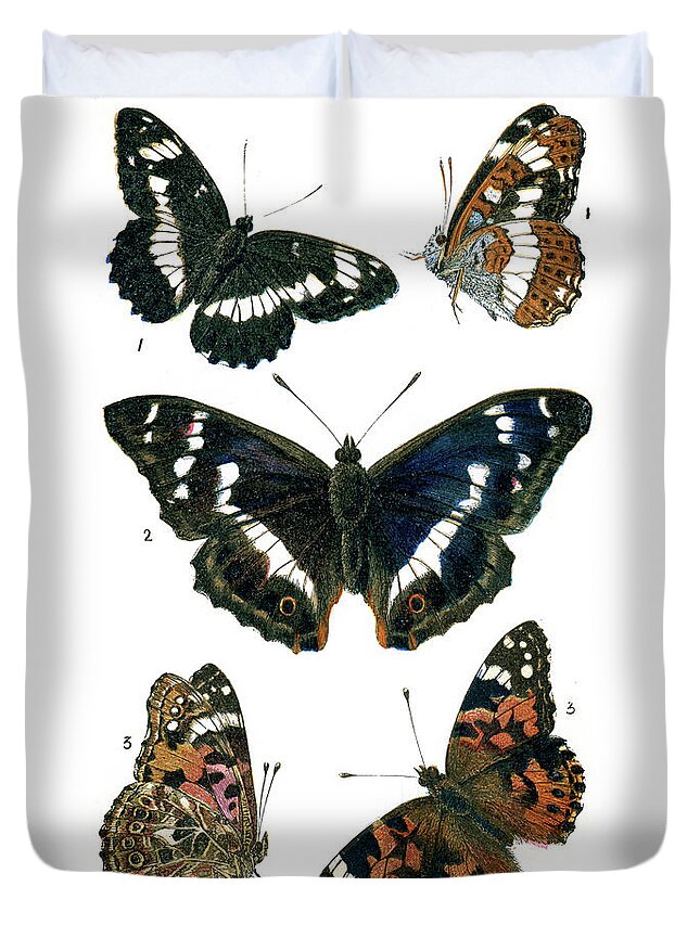 Admiral Butterfly Duvet Cover featuring the digital art Butterflies #9 by Duncan1890