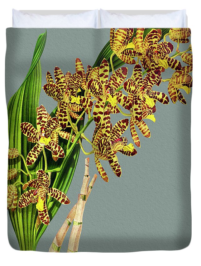 Colors Duvet Cover featuring the digital art Orchid Vintage Print on Colored Paperboard #9 by Baptiste Posters