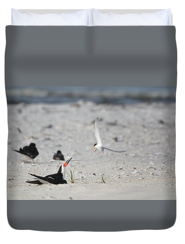Birds Duvet Cover featuring the photograph A Battle of Wills by Susan Rissi Tregoning