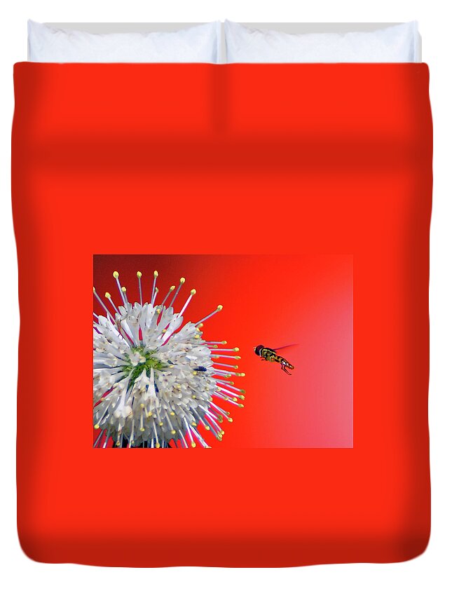 Orange Color Duvet Cover featuring the photograph A Bees Knees by Photo By Bob Gundersen