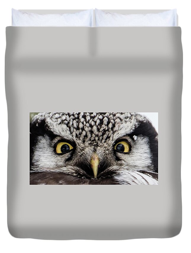 Northern Hawk Owl Duvet Cover featuring the photograph A closeup of The Northern Hawk Owl by Torbjorn Swenelius