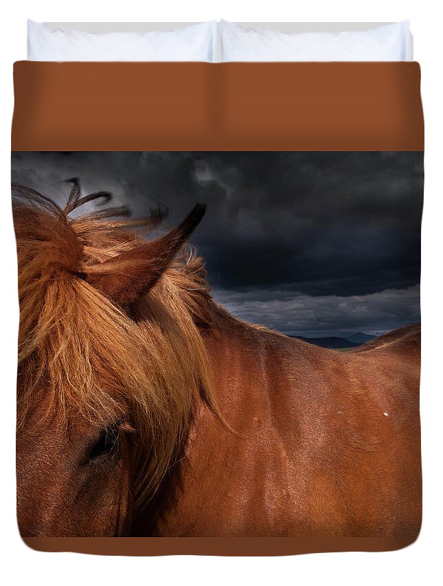 Horse Duvet Cover featuring the photograph A Dun Coloured Icelandic Horse With A by Mint Images - Art Wolfe