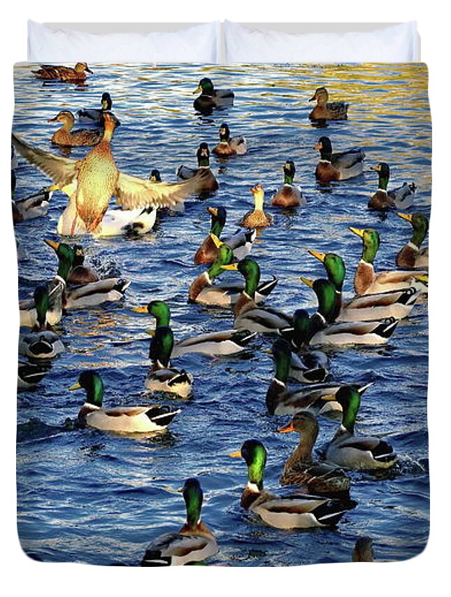 Ducks Duvet Cover featuring the photograph A Flush Of Ducks by Jeff Townsend