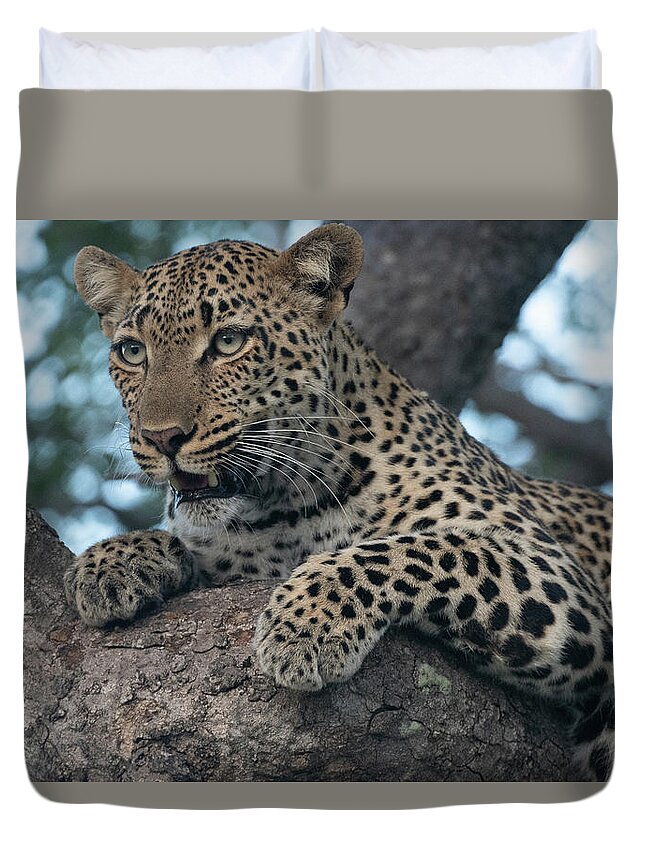 Leopard Duvet Cover featuring the photograph A Focused Leopard by Mark Hunter