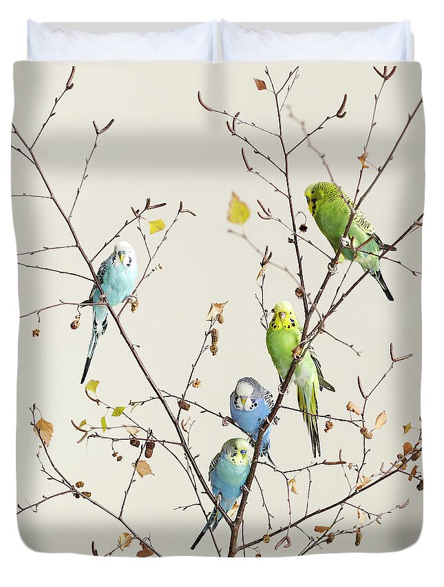 Connection Duvet Cover featuring the photograph A Group Of Budgies In A Tree by Walker And Walker