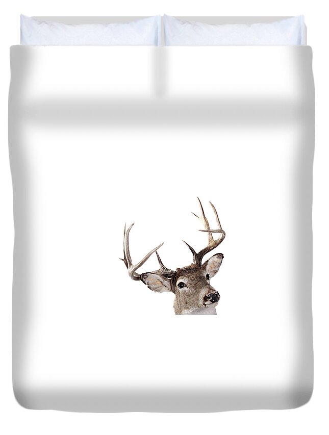 White Background Duvet Cover featuring the photograph A Headshot Of The Whitetail Buck On A by Rmfox