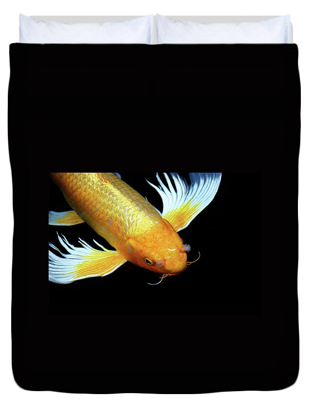 Pets Duvet Cover featuring the photograph A Koi Fish With Serious Nasel Problems by By Jason Collin Photography