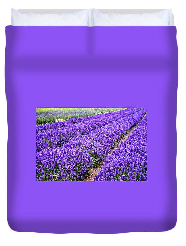 A Lavender Farm At Harvest Time Duvet Cover For Sale By Leslie