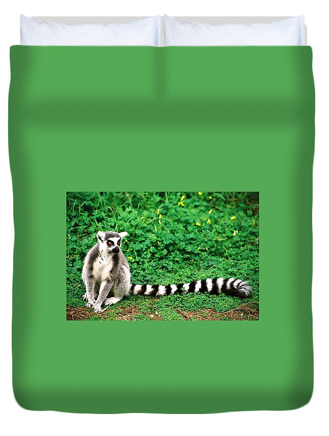 Extreme Terrain Duvet Cover featuring the photograph A Lemur Sitting On The Ground In Front by Liorfil