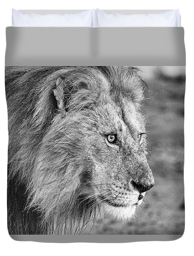 Lion Duvet Cover featuring the photograph A Monochrome Male Lion by Mark Hunter