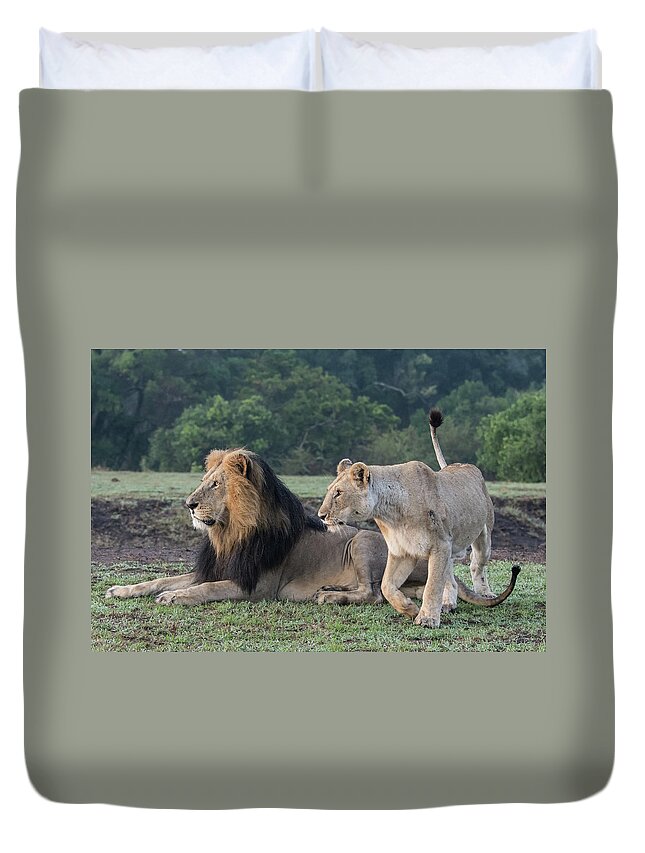 Lion Duvet Cover featuring the photograph A Pair of Lions by Mark Hunter