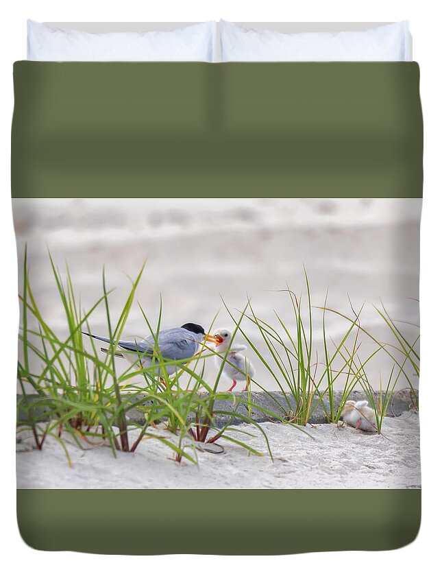 Baby Birds Duvet Cover featuring the photograph A Quick Feeding by Susan Rissi Tregoning