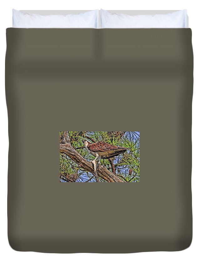 Osprey Duvet Cover featuring the photograph A Speckled Trout Breakfast by HH Photography of Florida