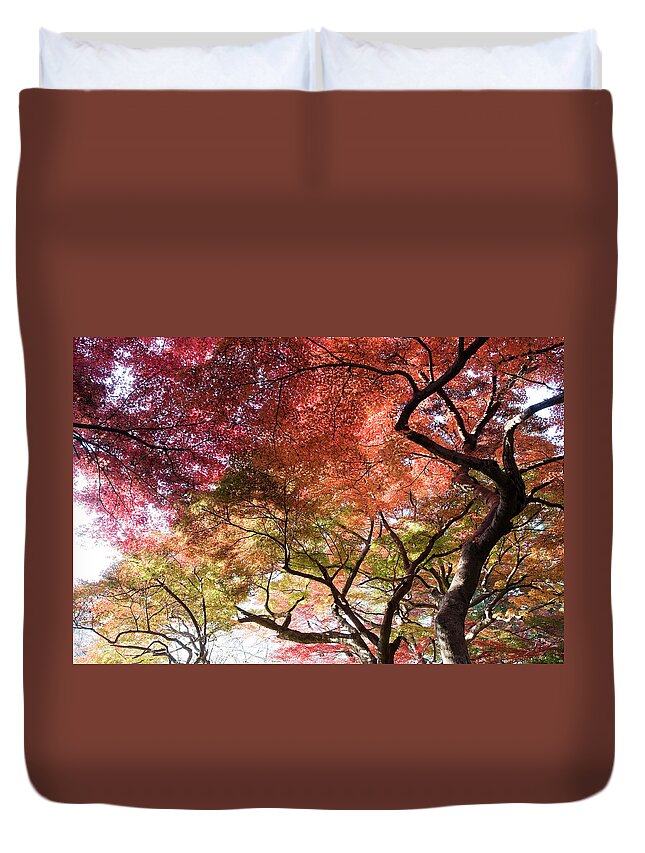 Scenics Duvet Cover featuring the photograph Abstract Autumn Trees by Ooyoo