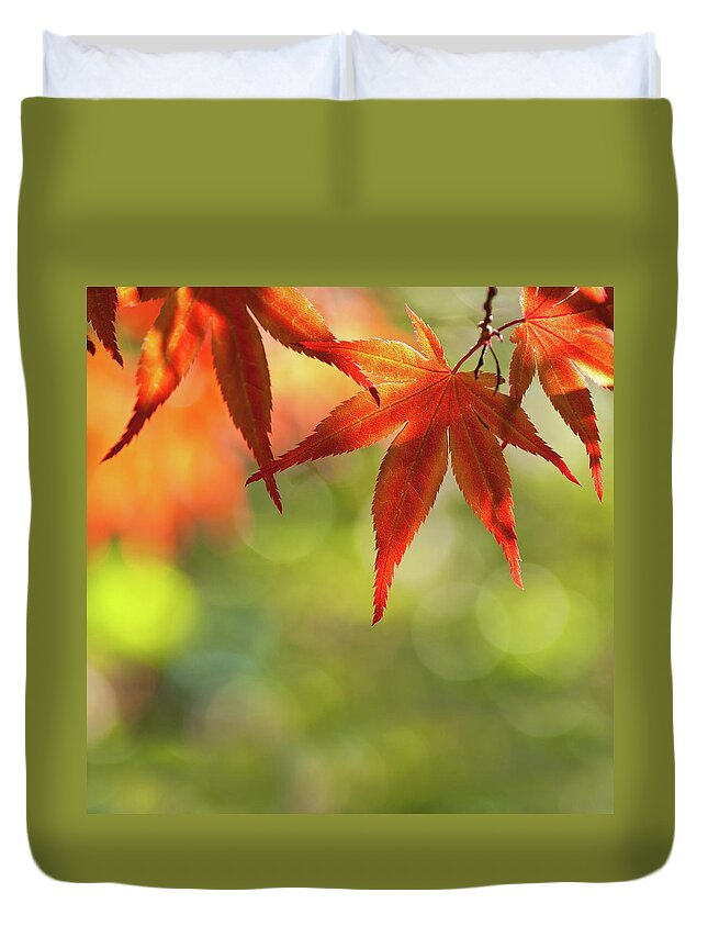 Outdoors Duvet Cover featuring the photograph Acer Palmatum - Japanese Maple by Martin Wahlborg