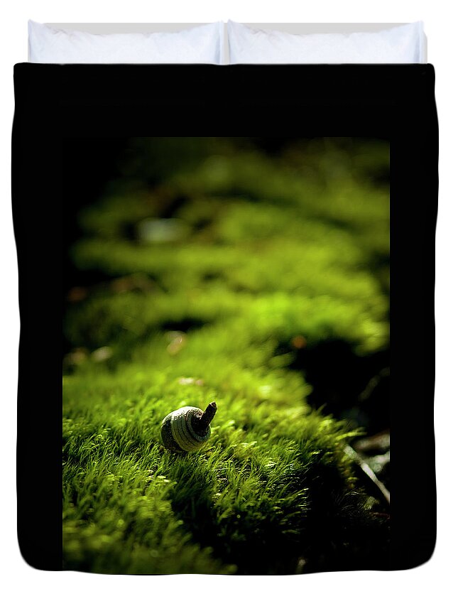 Tranquility Duvet Cover featuring the photograph Acorn On Green Moss by Masahiro Makino