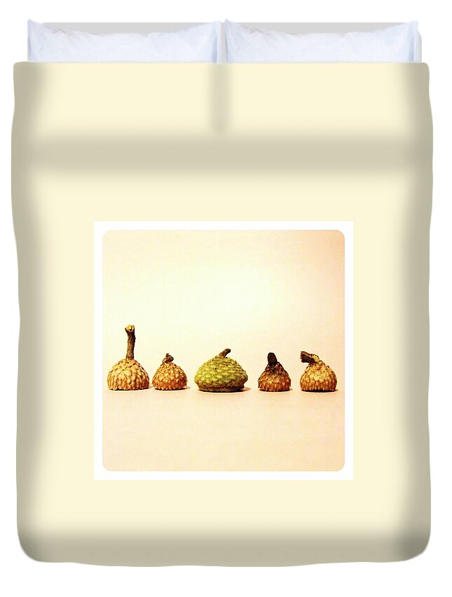 Nut Duvet Cover featuring the photograph Acorn Tops by Skye Zambrana Photography