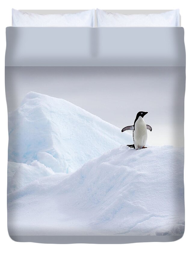 Extreme Terrain Duvet Cover featuring the photograph Adelie Penguin On Ice Floe In The by Cultura Rf/brett Phibbs