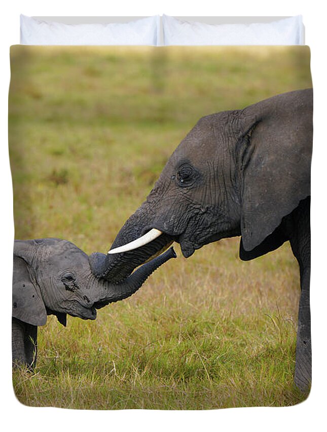 00587018 Duvet Cover featuring the photograph African Elephant Nuzzling Calf by Hiroya Minakuchi