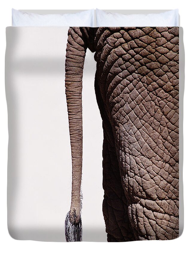White Background Duvet Cover featuring the photograph African Elephantsloxodonta Africana Tail by Ryan Mcvay