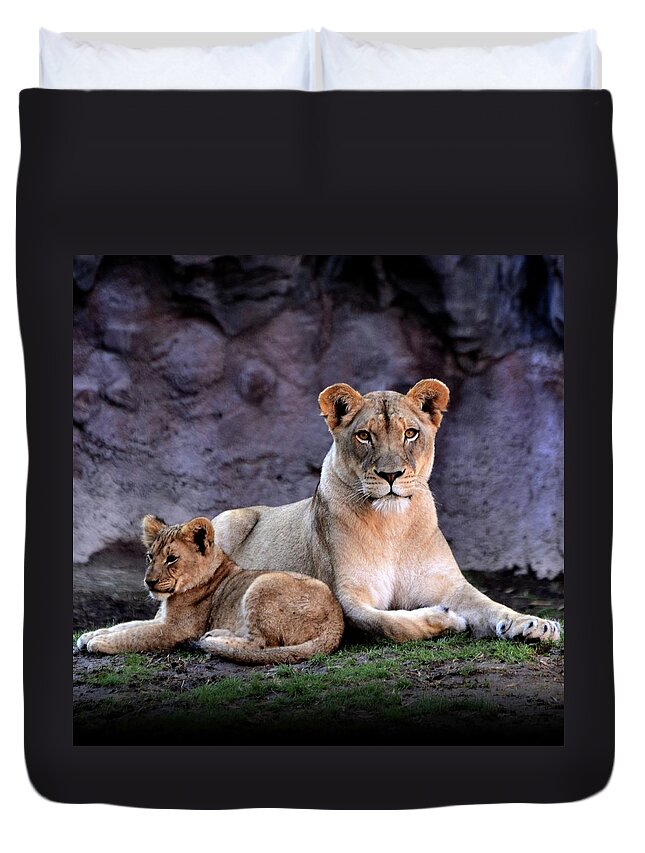 Animal Themes Duvet Cover featuring the photograph African Lion With Cub by Yuko Smith Photography