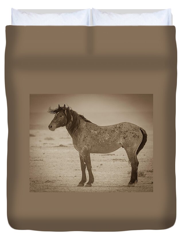Wild Horse Duvet Cover featuring the photograph Against the Wind by Mary Hone