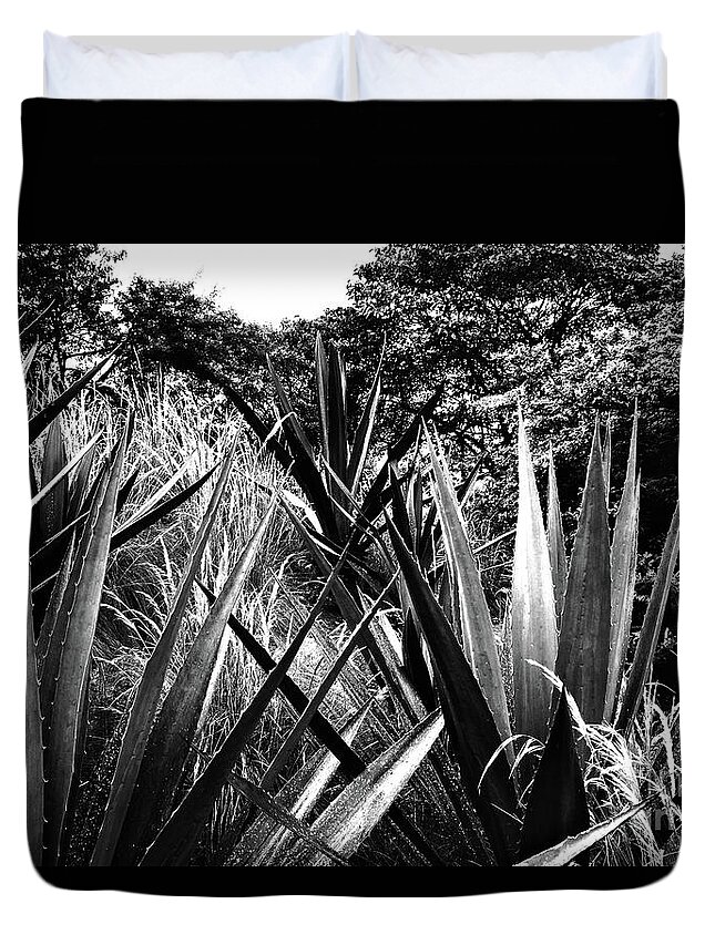 Agave Duvet Cover featuring the photograph Agave by Cassandra Buckley