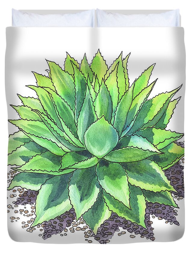 Succulent Duvet Cover featuring the painting Agave Ovatifolia Whale Tongue Agave Watercolor by Irina Sztukowski