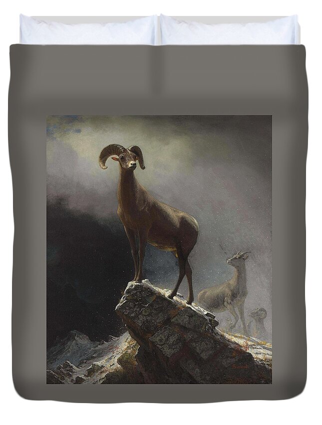 Sheep Duvet Cover featuring the painting Albert_Bierstadt_-_Rocky_Mountain_Sheep_or_Big_Horn,_Ovis,_Montana by Albert Bierstadt