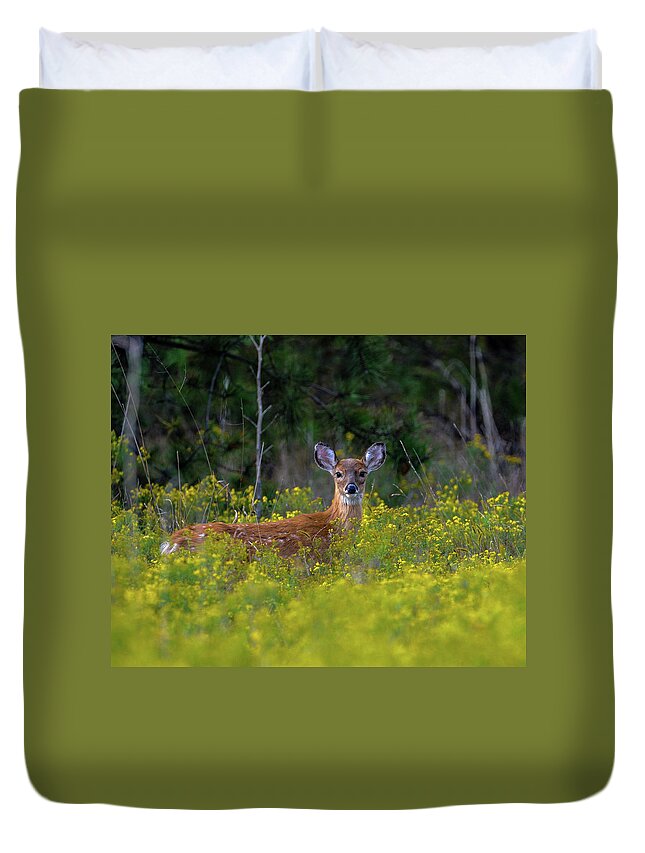 Wildlife Duvet Cover featuring the photograph Alert Fawn by Cathy Kovarik