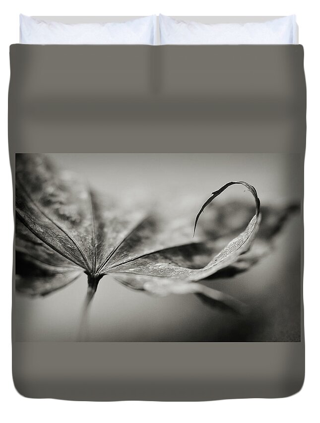 Black And White Duvet Cover featuring the photograph All In by Michelle Wermuth