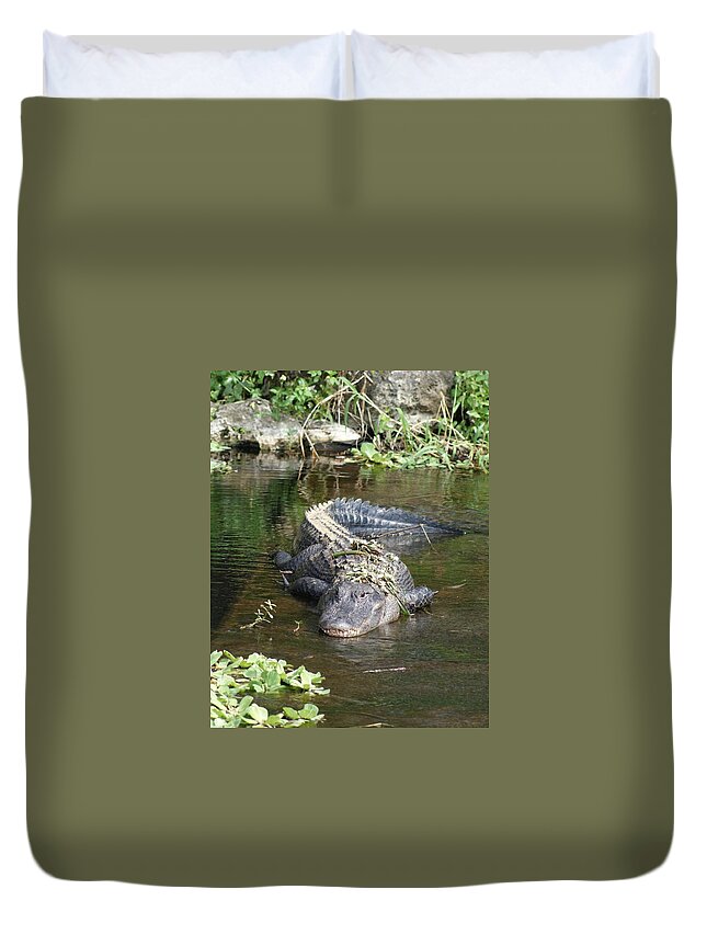 Florida Duvet Cover featuring the photograph Alligator Day Spa by Lindsey Floyd