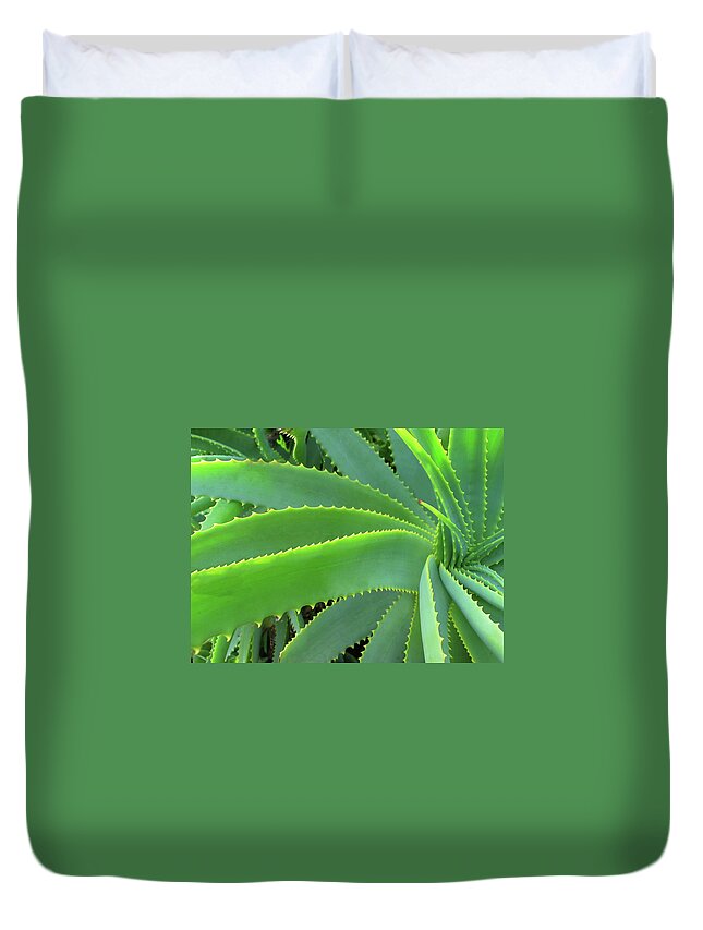 Natural Pattern Duvet Cover featuring the photograph Aloe Vera - Healing Plant by Lubilub