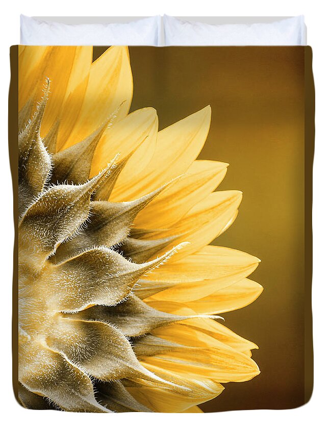 Sunflower Duvet Cover featuring the photograph Amber Sunflower by Christina Rollo